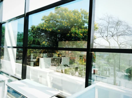 tree seen through window glass o