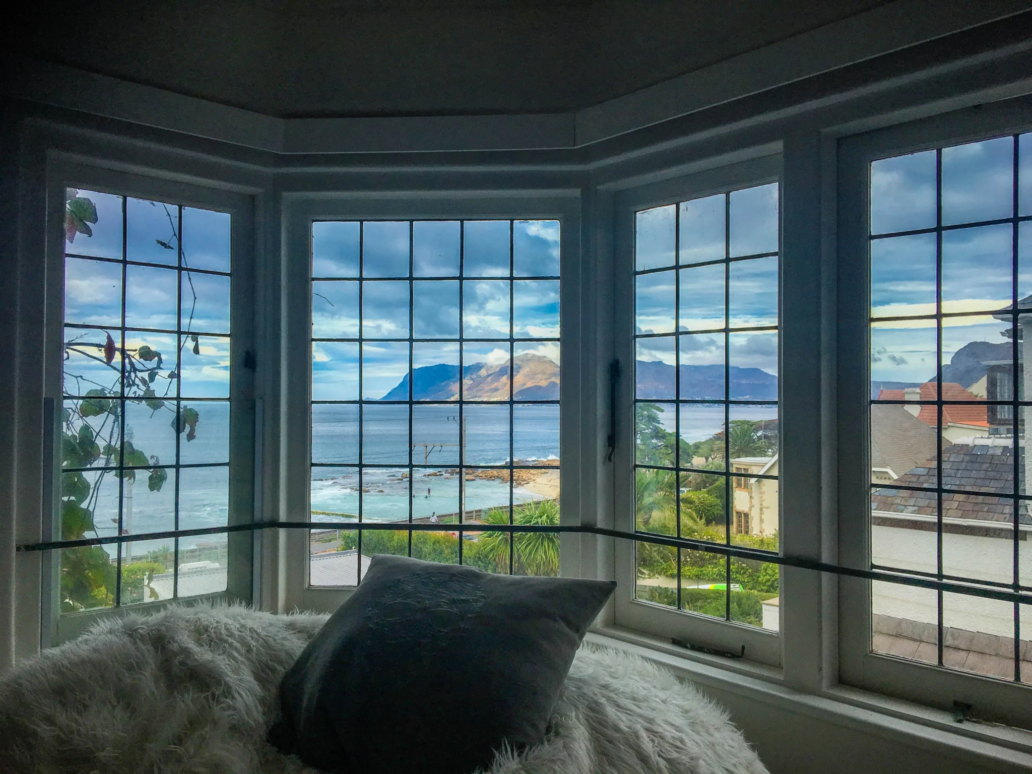 view cat looking through window