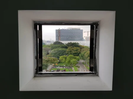 trees seen through window (1)